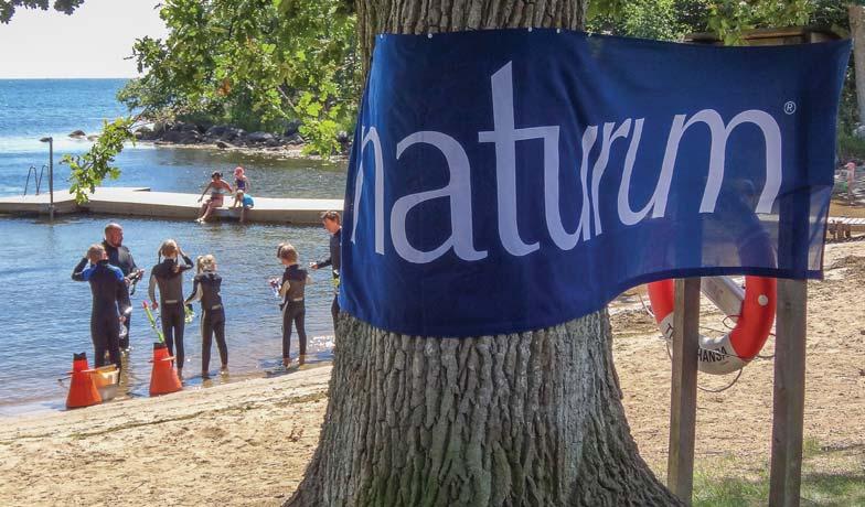 Uppbyggnad och finansiering. Naturvårdsverket har ansvar för uppförande av statliga naturum och kan även genom rådgivning och information bistå i uppbyggnadsskedet av övriga naturum.