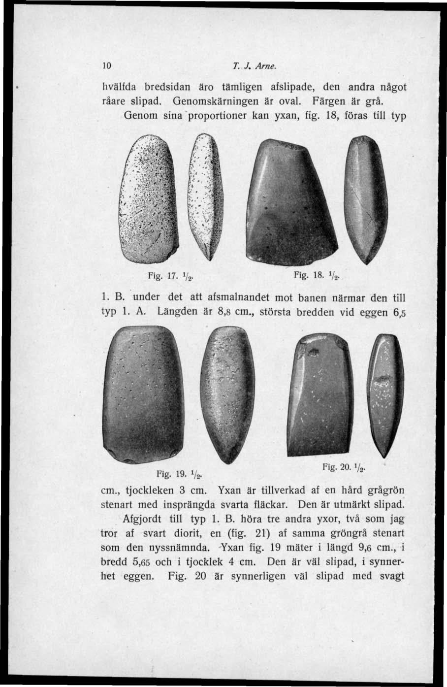 10 T. J. Arne. hvälfda bredsidan äro tämligen afslipade, den andra något råare slipad. Genomskärningen är oval. Färgen är grå. Genom sina proportioner kan yxan, fig. 18, föras till typ Fig. 17.