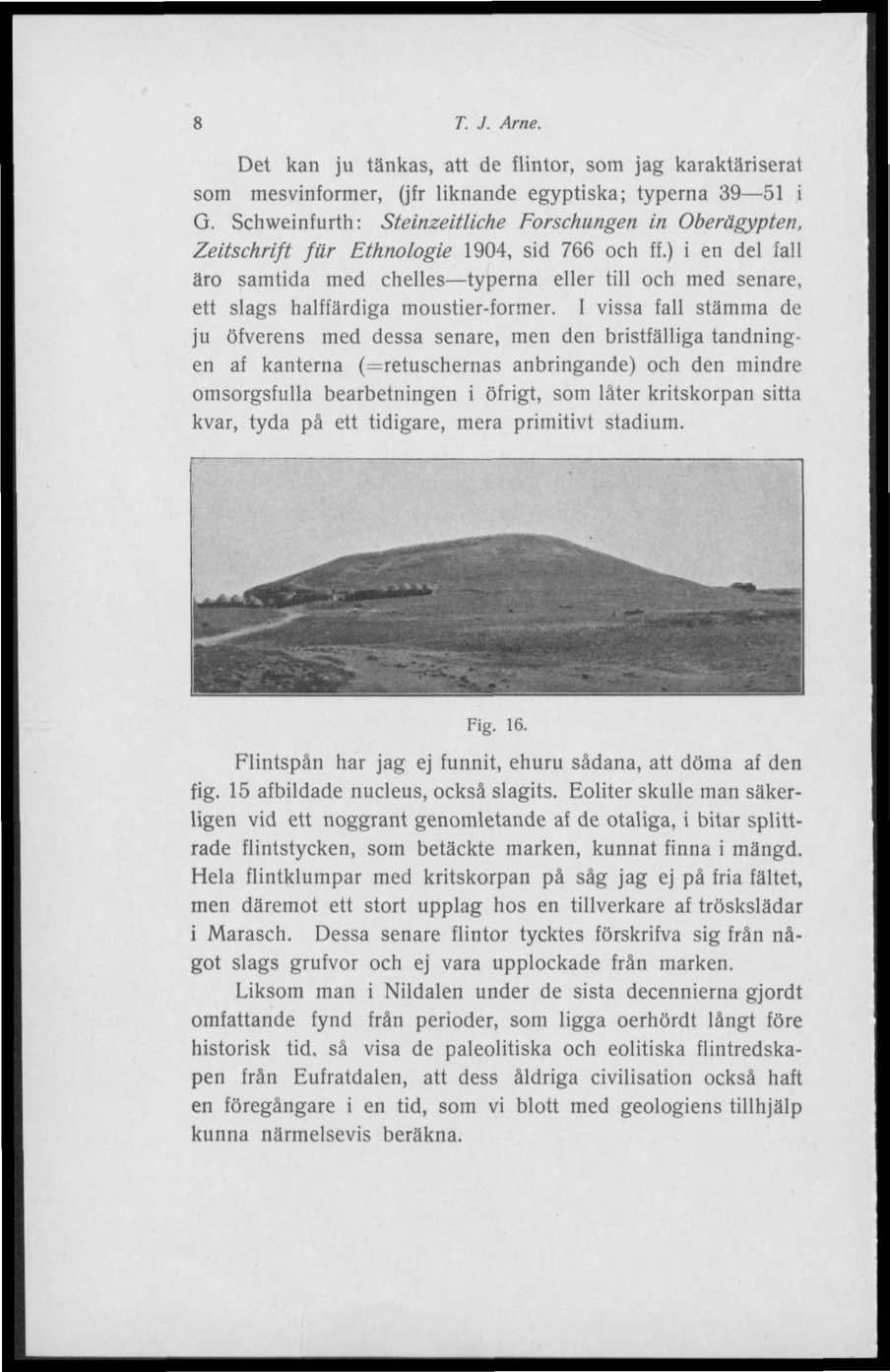 8 T. J. Arne. Det kan ju tänkas, att de flintor, som jag karaktäriserat som mesvinformer, (jfr liknande egyptiska; typerna 39 51 i G.