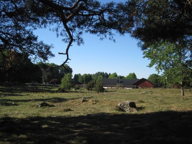 kullen i planområdet Gränby gård