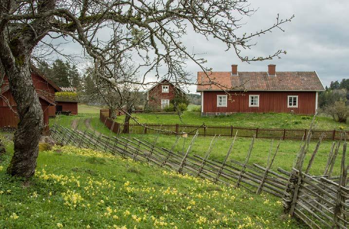 Låt dig och familjen inspireras av kunniga föreläsare och äventyrare och av människorna omkring er.