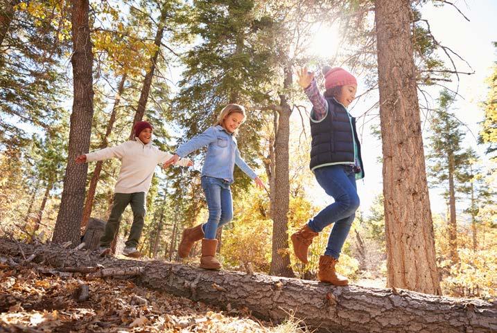 Sörmlands största naturreservat med över 3000 hektar skog, berg, sjöar, mossar och kustvatten!