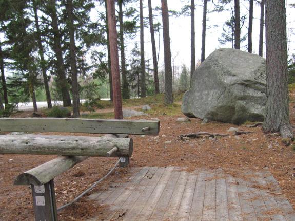 Ny damm Spång Nuläge: Blandskog med gran, björk och ett visst inslag av rönn och tall.