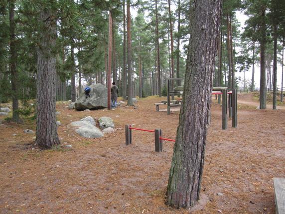 Lite skräpig känsla med ett flertal nerfallna träd av olika storlek.