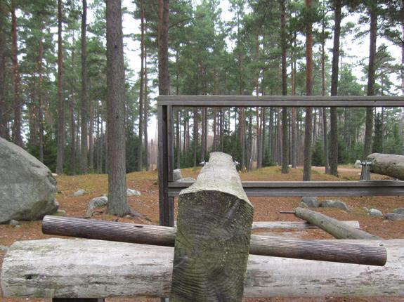 Förstärka det speciella med holmen med motionsredskap med naturlik prägel.