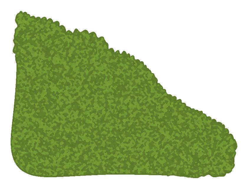 7 ÄDELLÖVSRUMMET Ny plantering av ek, brakved, benved och enstaka bok. Vissa björkar gynnas Förstärkt fuktplantering 7.