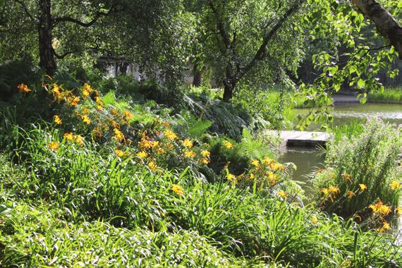 GRÄNSZONER GRÄNSZONER Plats: Randen mellan befintlig natur och brygga. Randen mellan ny damm och befintlig natur, gränszonerna mellan mellan park och skog.