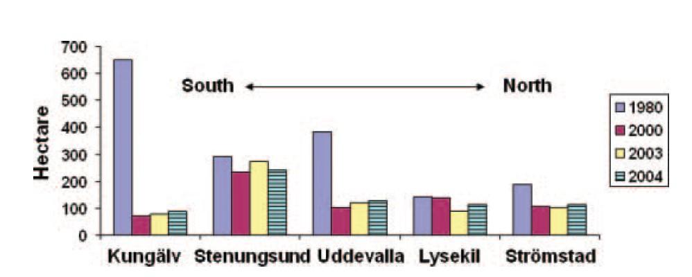 mitt-2000 Kungälv - 82% Stenungssund