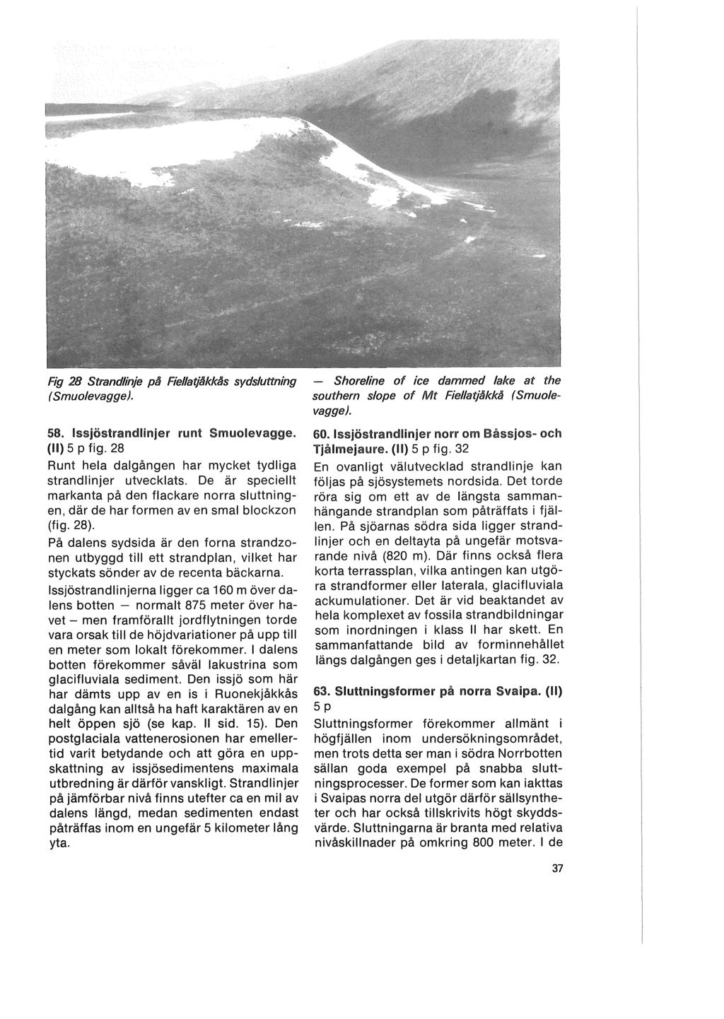 Fig 28 Strandlinje pil Fiellatjllkklls sydsluttning ( Smuolevagge). 58. Issjöstrandlinjer runt Smuolevagge. (II) 5 P fig. 28 Runt hela dalgången har mycket tydliga strandlinjer utvecklats.