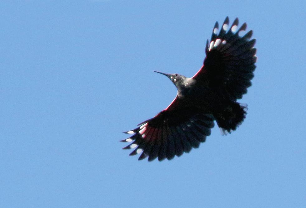 Tisdag 5 april Barcelona flygplats kl 12. Här sammanstrålade gruppen. Stefan, Peter, Johan, Alice och Göran anlände från Köpenhamn. Olle och Ewa mötte upp. De hade åkt ner någon dag tidigare.