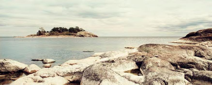 Vår omvärld Ny standard för redovisning och värdering av försäkringskontrakt förväntas publiceras av IASB (International Accounting Standards Board) under första halvåret 2017.
