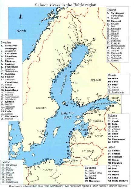 16 vildlaxälvar med unika förhållanden och fiskstammar Viktigt med lokal