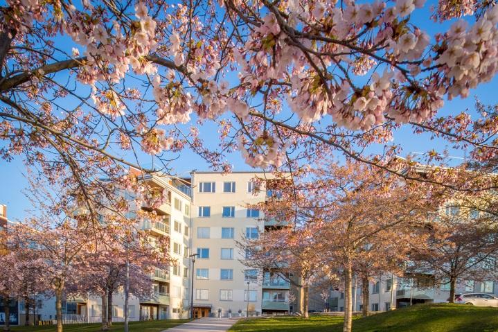 LUMAPARKEN, HAMMARBY SJÖSTAD KONCERNEN I SIFFROR jan mar jan mar apr mar jan dec Intäkter enligt segmentsredovisning, Mkr 1 384,0 382,0 1 686,1 1 684,1 Rörelseresultat enligt segmentsredovisning, Mkr