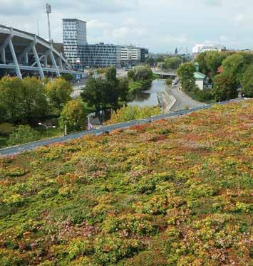 8-tallet i Köpenhamn 6 Krydstogtterminale för