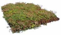 Veg Techs takvegetationssystem med sedum är brandgodkänt som taktäckning och uppfyller klassificeringen BROOF (t2).