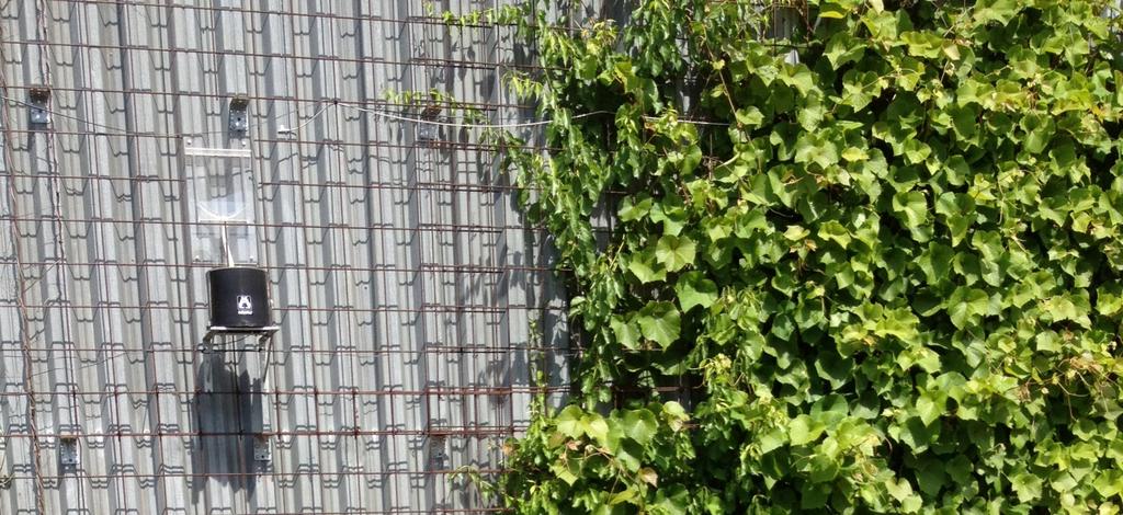 Vegetation på distans från fasad har enligt forskning från SLU visat sig minska fuktbelastningen på väggen vid slagregn samt att vegetationen bidrar