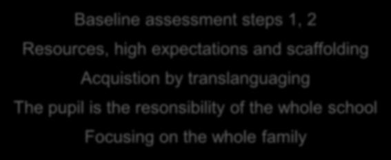 Baseline assessment steps 1, 2 Resources, high expectations and