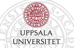 Rapport nr: 2013vt00464 Institutionen för pedagogik, didaktik och utbildningsstudier Examensarbete i utbildningsvetenskap inom allmänt utbildningsområde, 15 hp