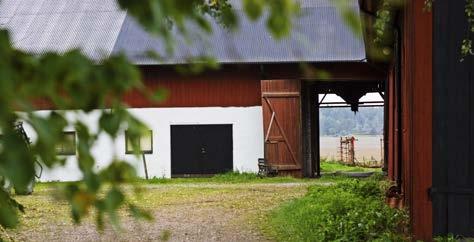 Var noga med ditt försäkringsskydd för salmonella! En salmonellaspärr kan kosta dig miljoner och det är inte ovanligt att en gård är spärrad i flera år.