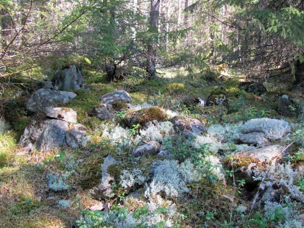 Keski-Pohjanmaan