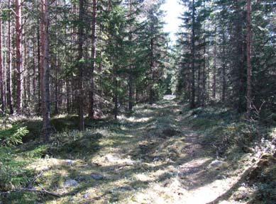 Keski-Pohjanmaan ArkeologiaPalvelu Takanebacken vindkraftsprojekt 14 9. Materialförteckning Digitalt material: Riksarkivets digitalarkiv: Sockenkartor, Malax, Närpes, http://digi.narc.fi/digi/search.