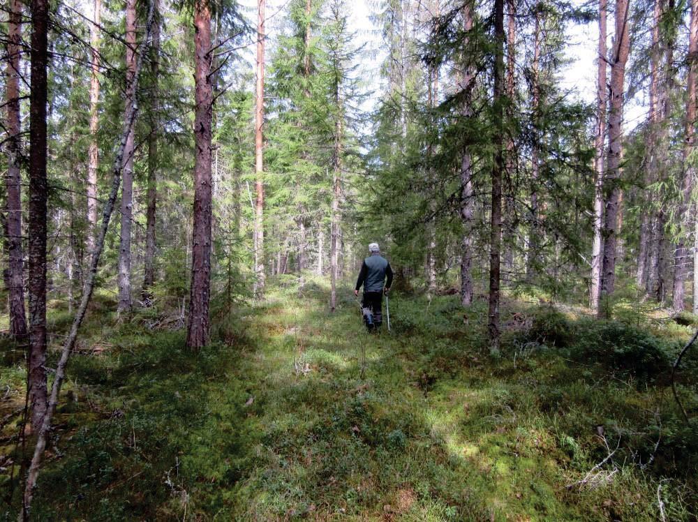 Kartering av Malax gamla ridväg.
