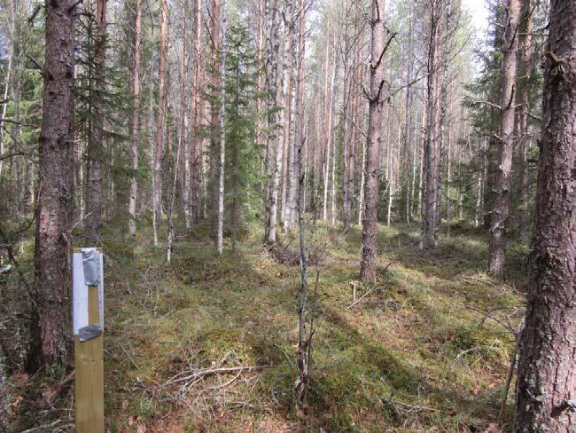 Keski-Pohjanmaan ArkeologiaPalvelu Malax 2017 8 Kraftverksplats nr 3 mot
