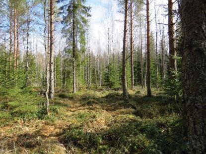 Jordmånen är medelgrov morän. Kraftverksplats nr 4 mot nordöst.