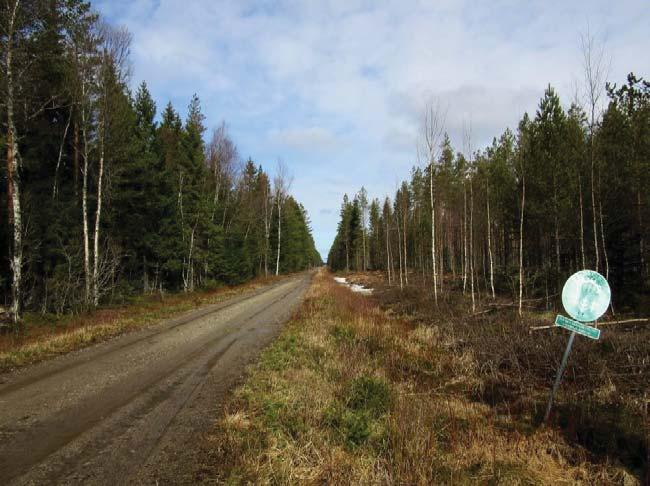 Keski-Pohjanmaan ArkeologiaPalvelu Malax 2017 9 Påverkningsområdet för kraftverksplats nr 5 finns på ett område med uppvuxen gran- och tallskog samt tät odlad skog. Jordmånen är medelgrov bottenmorän.