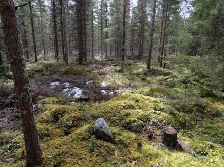 Under naturinventeringen på området 2015 upptäcktes stenvallar som skapats av människan (objektet observerades som en potentiell fornlämning i den arkeologiska förstudien, se förstudierapporten s.