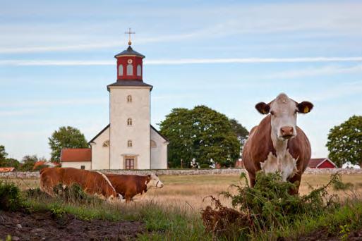 VÄLKOMMEN TILL VÄRLDSARVSVECKAN Ett världsarv är ett kulturminne eller naturminne som är så värdefullt att det är en angelägenhet för hela mänskligheten.