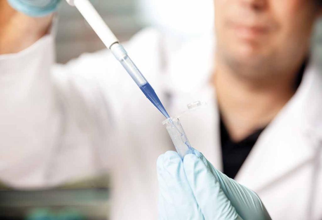 13 Vid dessa tester utvärderades den antibakteriella effekten genom en biologisk bio-assay där den bakteriedödande effekten av urinen på bakterier som växer på odlingsplattor bestämdes.