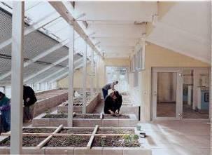 sustainable urban development