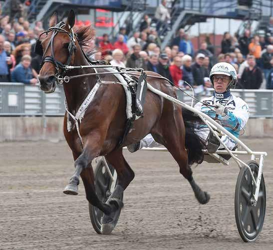 HalmstadTravet Måndag 7 april Första start kl.0 banprogram Annandag Påsk Pris 0 kr (inkl.