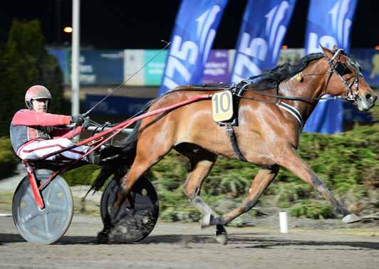 MÅNADENS HÄST Mars MÅNADENS UTMÄRKELSE Mars FRANKIE BRODDE Frankie Brodde startade två gånger under månaden och båda starterna slutade med seger på V7.