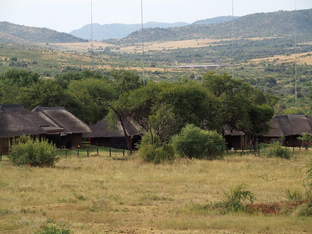 Innan solen sjunkit genom den afrikanska horisonten hinner vi med en kort game drive och sundowner. Övernattning på utmärkta Bakubungs Bush Lodge (4****).