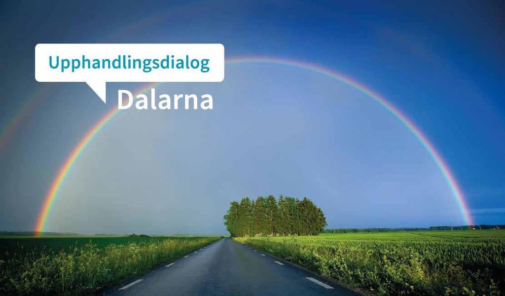 Rapport om direktupphandling 2016 Offentlig upphandling som verktyg för