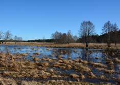 Enligt både internationella och nationella mål ska minst 10 % av Sveriges kust- och havsområden vara skyddade till år 2020.
