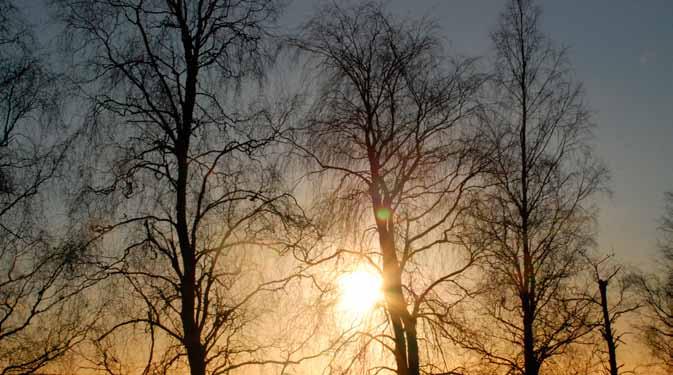 Koncernbalansräkning Not 2016-12-32 2015-12-31 Tillgångar Anläggningstillgångar Immateriella anläggningstillgångar 8 - - Materiella anläggningstillgångar Byggnader och mark 7 39 855 40 453 Pågående