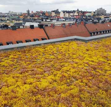 att visionen om det hållbara byggandet också ska kunna uppnås. I BASTA systemet ingår de bygg- och anläggningsprodukter som klarar BASTA:s krav vad gäller kemiskt innehåll.
