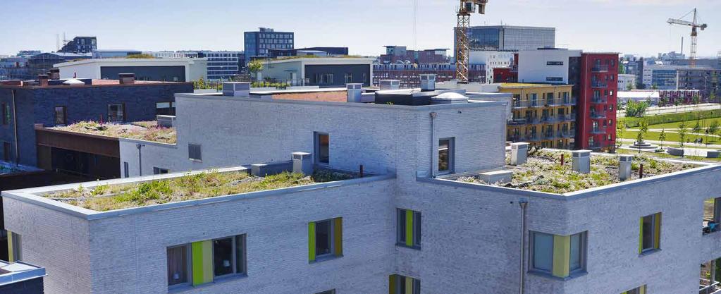 Figur 1. Sedumtak samt biotoptak med strandängskaraktär på fastigheten Koggen 1, i Malmö.