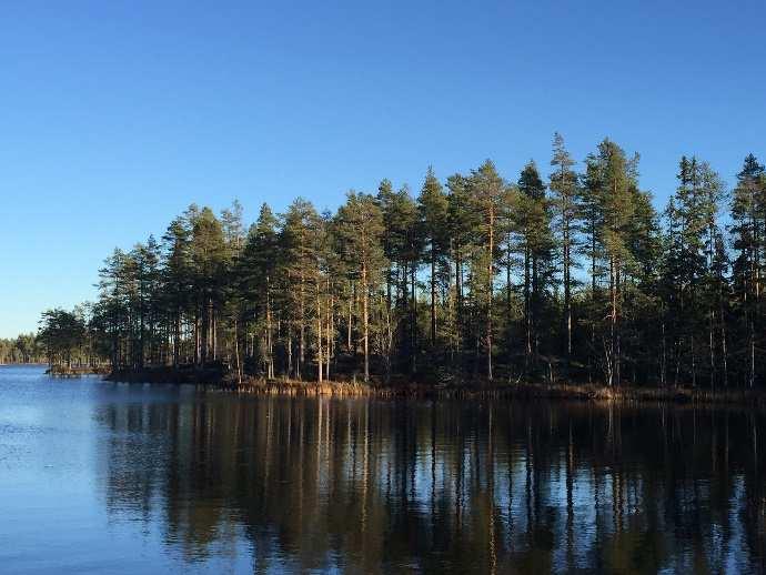 Jakt & Fiske Fastigheten ingår i Utmelands viltvårdsområde om ca 5 600 ha Kontaktperson Bengt Artursson, Vika 3221, 792 91 Mora Väg på fastigheten Skogsmark På fastigheten har det upprättats en grön