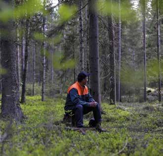 uttag av klentimmer blir därför särskilt lönsamt jämfört med vanligt timmeruttag. Kontakta din lokala virkesköpare så får du veta mer! * Klentimmer tas med i mån av avsättning.