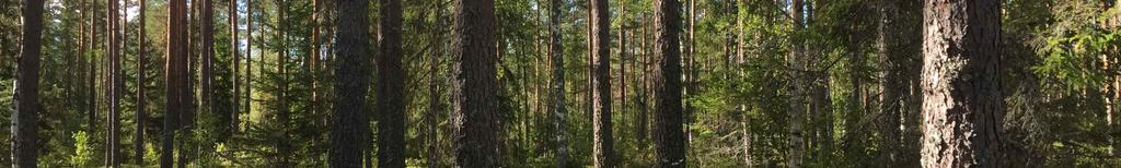 skogsbruksplan i juni 2012 av Anders Blomberg.