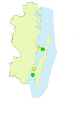 5 15 1 Värden visas med spridningsmåttet standarderror (SE) 1996 1997 1998 1999 1 3 4 5 6 7 8 9 1 11 1 13 14 FIGUR 1. Sedimentets organiska halt i Kalmar län 1996-14.