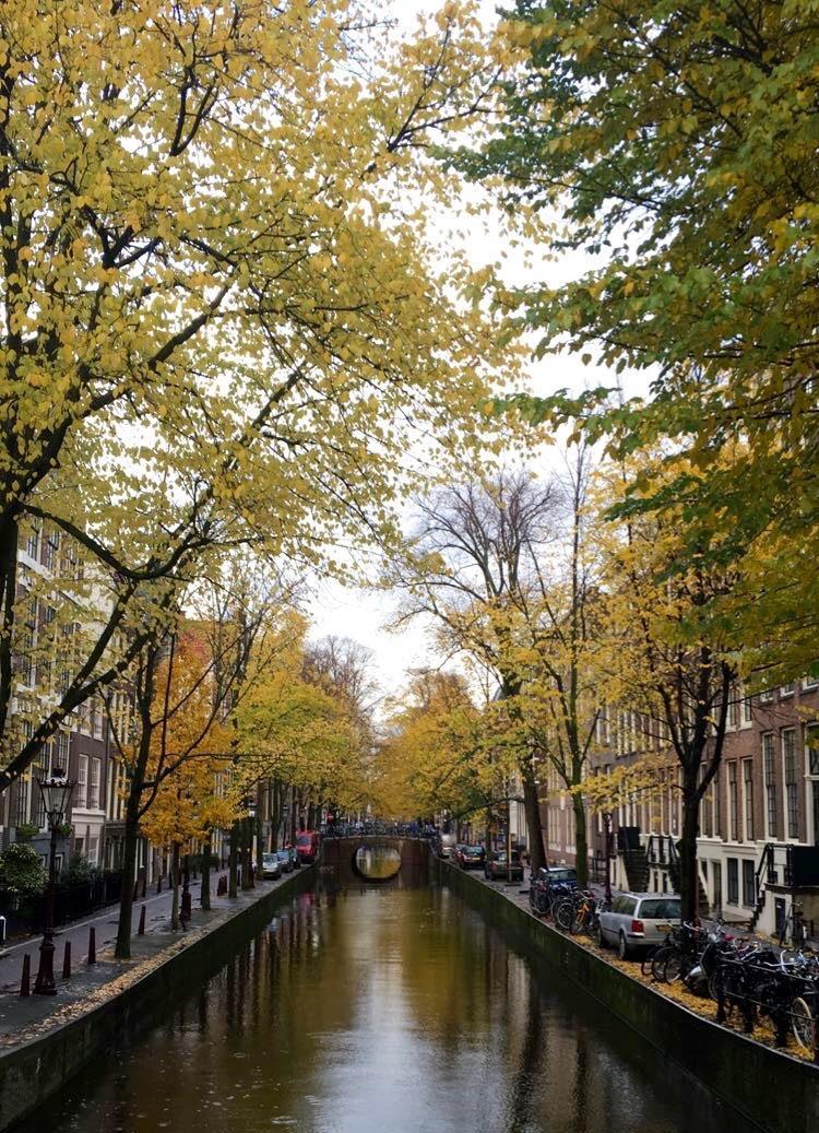 Fritid och sociala aktiviteter Under första perioden av höstterminen höll jag till i Delft och letade runt till olika ställen för att verkligen få en känsla av staden.
