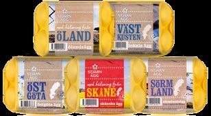 Det handlar om att ta fram övergripande riktlinjer för att planera och effek- tivisera