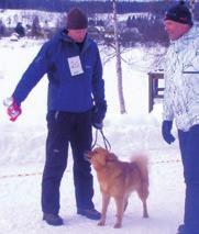 Utställning Bredbyn 2010-02-20 Årets utställning i Bredbyn är avklarad. Vädrets makter var inte nådiga. Det var kallt och blåsigt. Allt varmt i serveringen blev slutsåld.