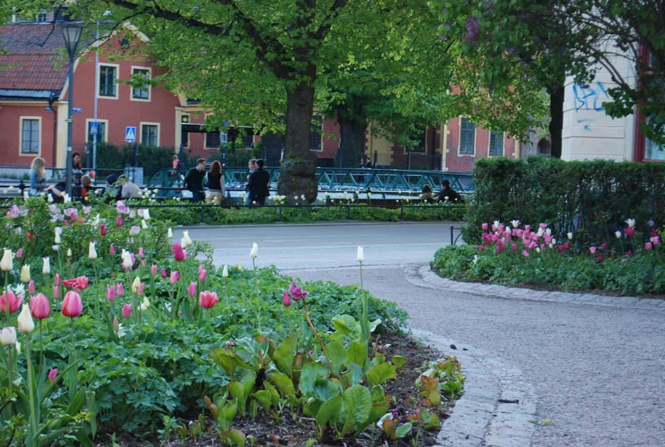Uppsala kommuns kvinnofridsprogram behöver uppdateras.