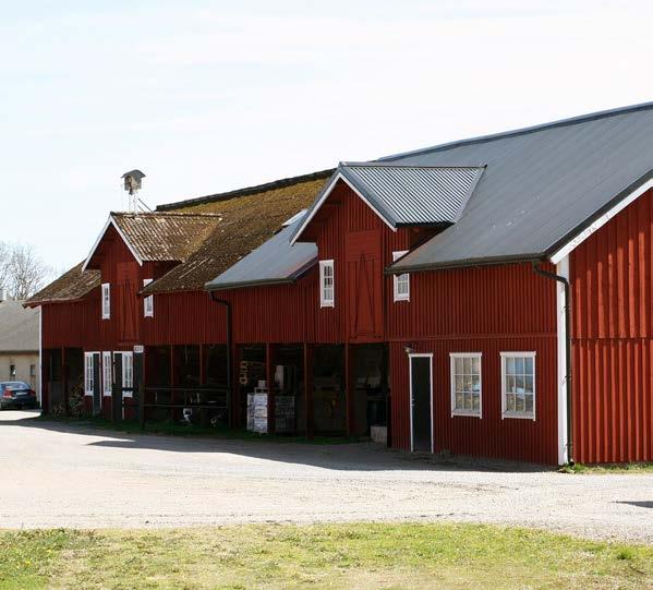 TEXT OCH FOTO: MADELEINE VON KOCH Fakta om Vankiva gård 4. Robert Lindroth, inköpare på KLS Ugglarps, håller med Christoffer och ser tydliga effekter av den positiva trenden.